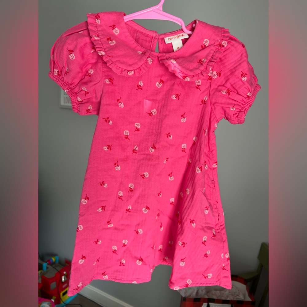 Cat & Jack Toddler Girls Pink Floral Puff Sleeve Peter Pan Collared Dress Size 2